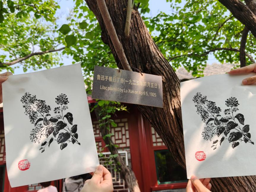 最佳线上赌博网站排名