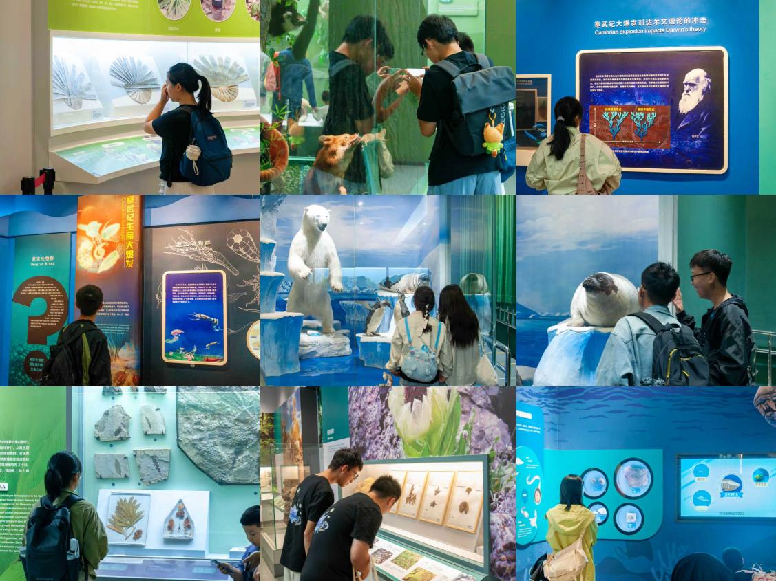 最佳线上赌博网站排名