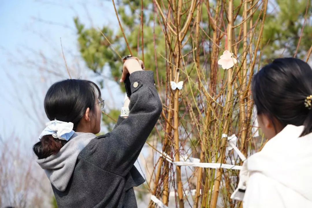 最佳线上赌博网站排名