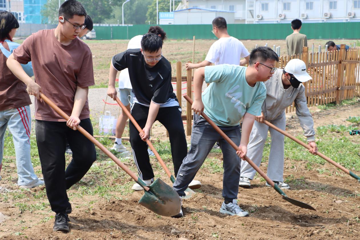 最佳线上赌博网站排名