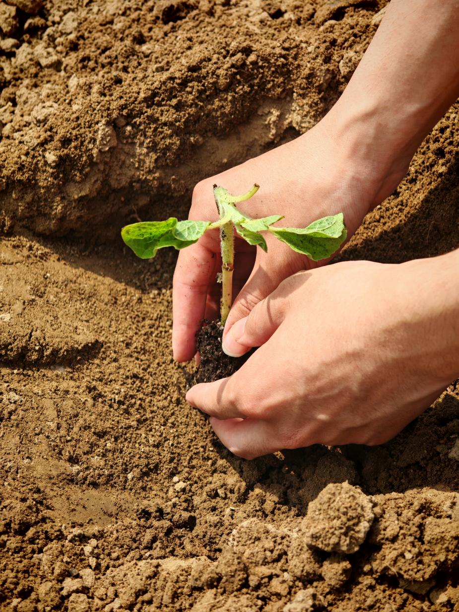 最佳线上赌博网站排名